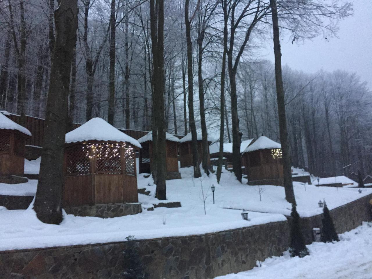 Hotel Sadyba Sribne Dzherelo Ilnytsya Exterior foto